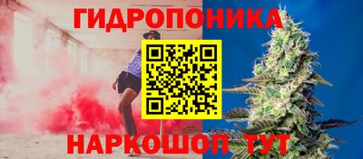 наркотики Новозыбков