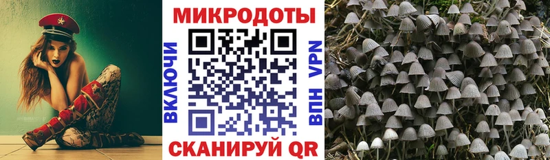 нарко площадка Telegram  Югорск  Псилоцибиновые грибы Magic Shrooms 
