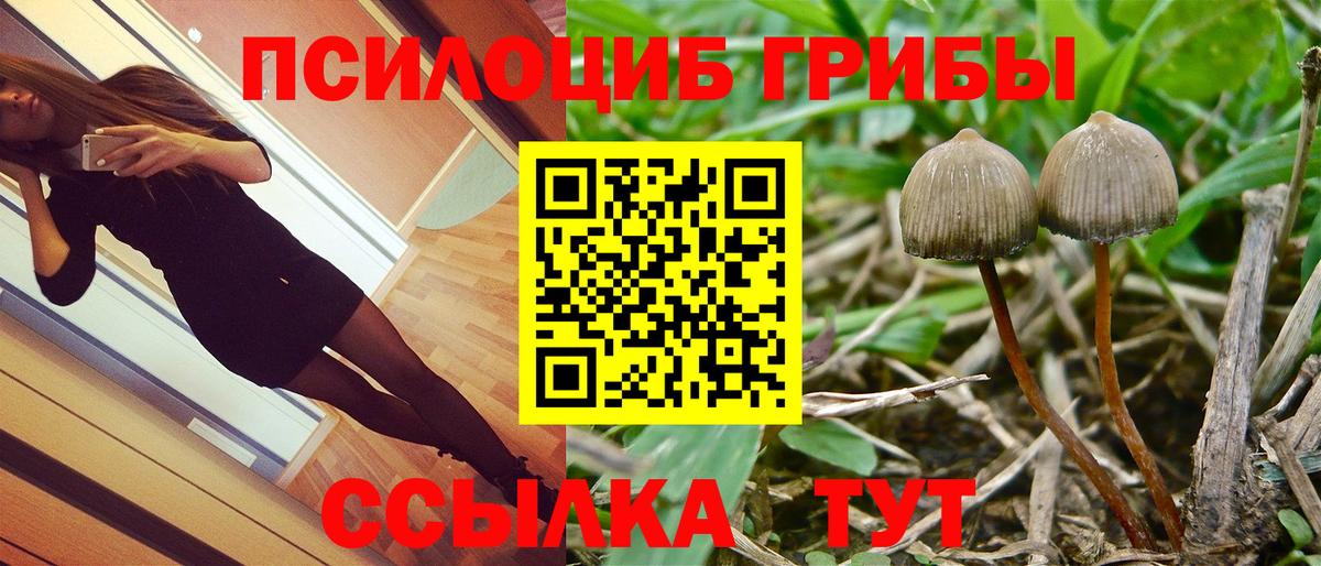 Псилоцибиновые грибы MAGIC MUSHROOMS  Вход с VPN  Югорск 